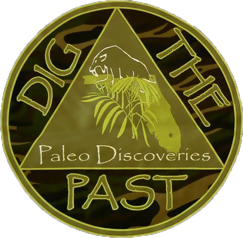 paleo logo