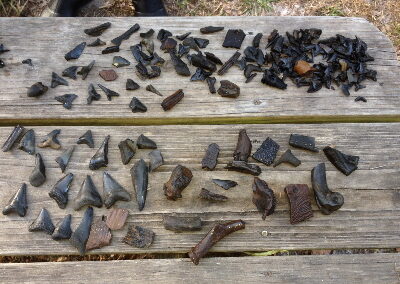 Jody had a variety haul too!