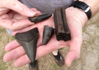 Close look at Donna's finds.