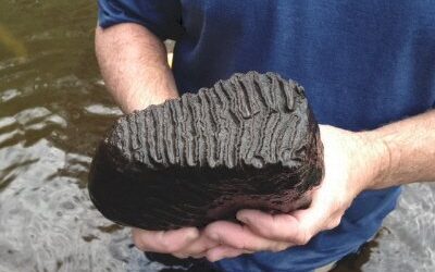 Treasure Hunting Vacations in Florida